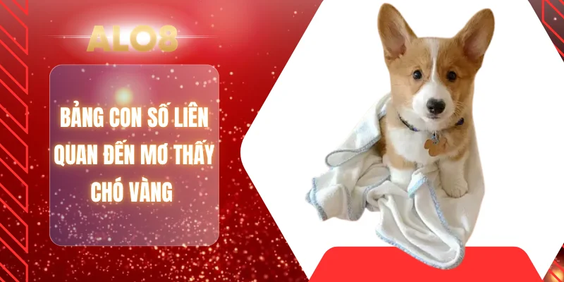 Bảng con số liên quan đến mơ thấy chó vàng 