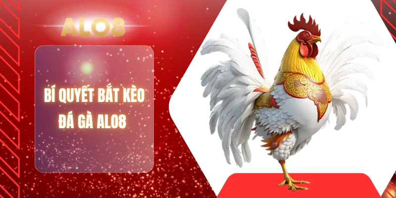 Bí quyết bắt kèo đá gà ALO8