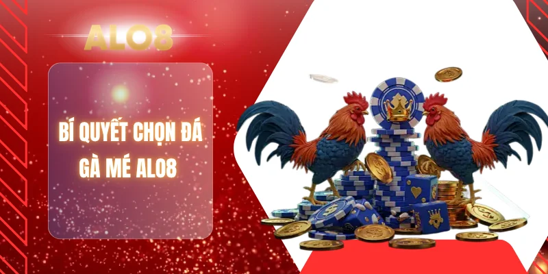 Bí quyết chọn đá gà mé ALO8