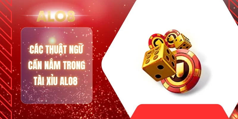 Các thuật ngữ cần nắm trong tài xỉu ALO8