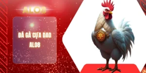ĐÁ GÀ CỰA DAO ALO8