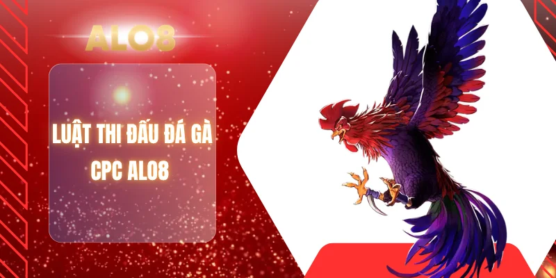 Luật thi đấu đá gà CPC ALO8 