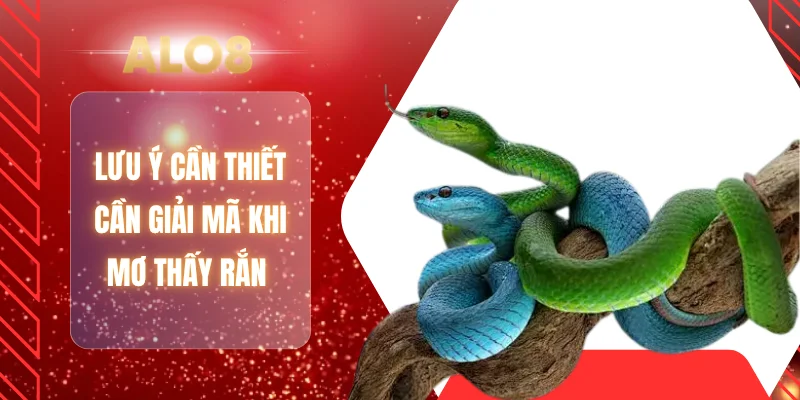 Lưu ý cần thiết cần giải mã khi mơ thấy rắn