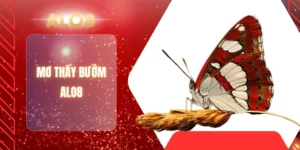 MƠ THẤY BƯỚM ALO8
