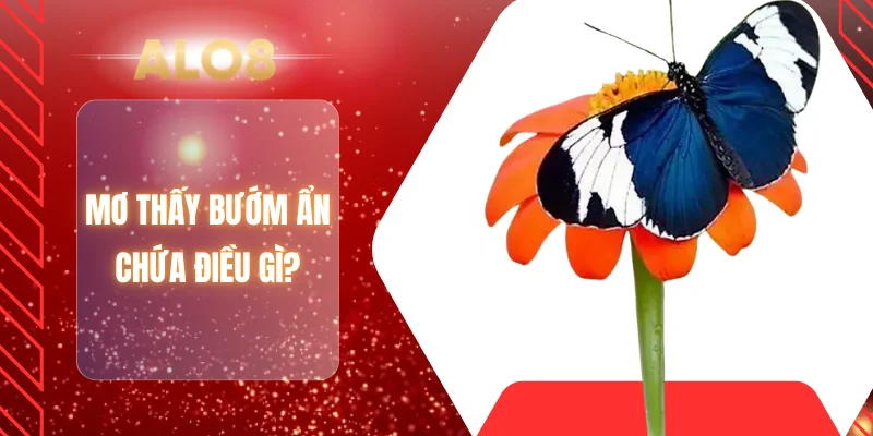 Mơ thấy bướm ẩn chứa điều gì?