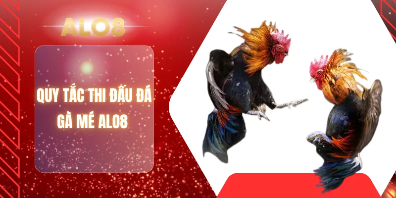 Quy tắc thi đấu đá gà mé ALO8