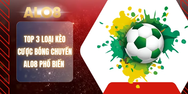 Top 3 loại kèo cược bóng chuyền ALO8 phổ biến