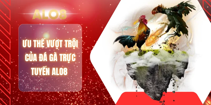 Ưu thế vượt trội của đá gà trực tuyến ALO8